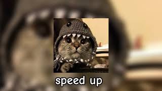 картинка: Александр Рыбак - Котик speed up