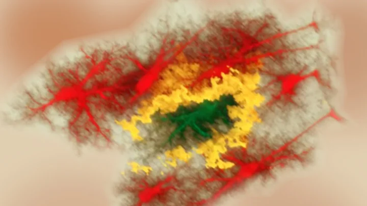 Mark Ellisman: 2010 Allen Institute for Brain Science Symposium