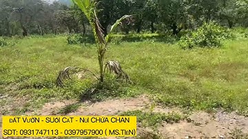 💥ĐẤT VƯỜN NGHỈ DƯỠNG - ĐẦU TƯ SINH LỜI CAO - SUỐI CÁT, XUÂN LỘC, ĐỒNG NAI - GẦN NÚI CHỨA CHAN
