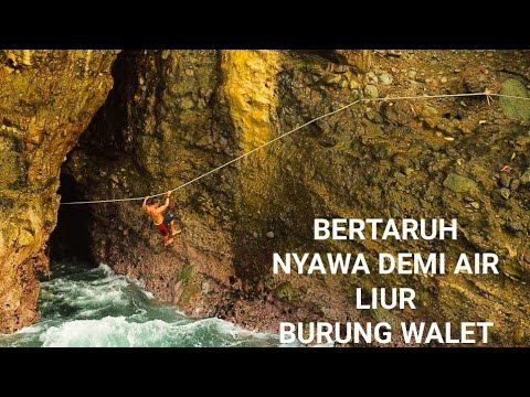 GOA SARANG BURUNG WALET 