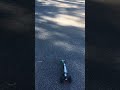 Rocket dragster second attempt