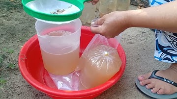 cung đường thôn quê, rất đẹp, nhiều cây thốt nốt, uống nước thốt nốt nguyên chất rất ngon