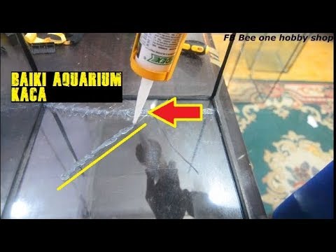 Aquarium Bocor Namun Sudah Terisi Air? Jng Khawatir. Tutorial Menambal  Yang Bocor Tanpa Kuras Air.. 