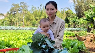 16 year old single mother: Harvest vegetables to sell at the market, Garden, build a new life.