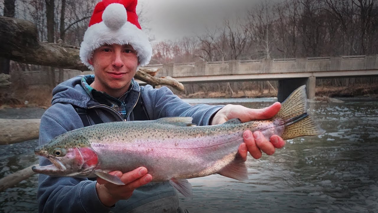 rocky river steelhead, rocky river steelhead fishing, rocky river...