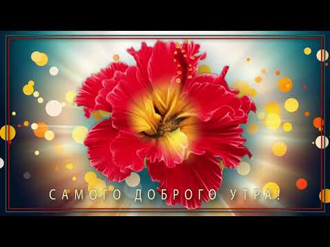 ✅Самого доброго утра!!!✅