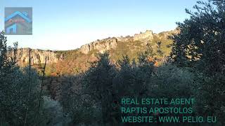 WWW. PELIO. EU CODE 1096