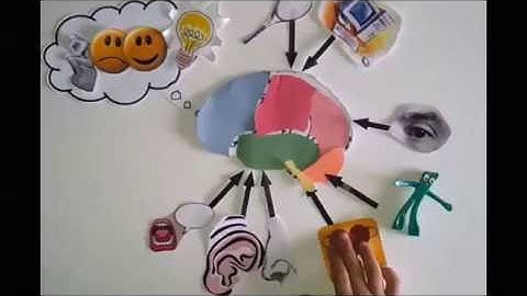 Brain Awareness Video Contest: Using Your Brain