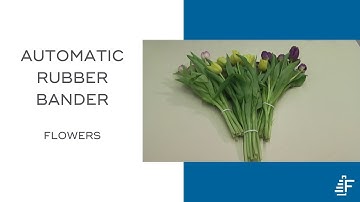 Bunching Flowers Using Felins (ARB) Automatic Rubber Banding Machine