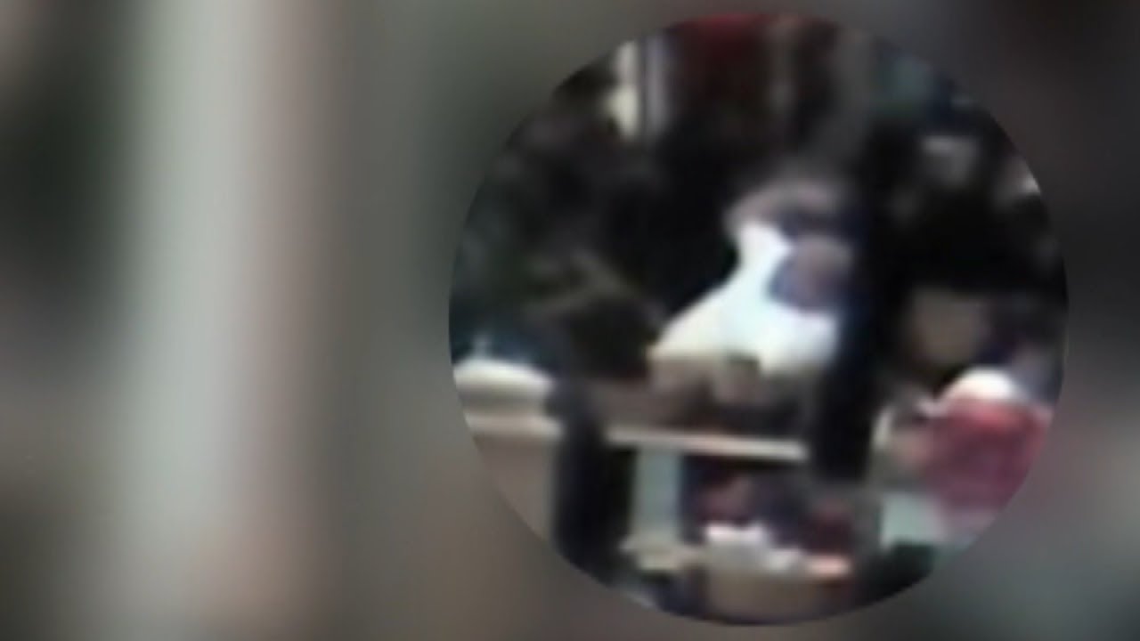 Video shows failed assassination of a Hells Angel member