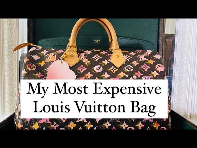 My Most Expensive Louis Vuitton Bag: Watercolor Aquarelle Richard Prince  Speedy 35 