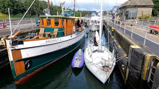 A Visit to the Ballard Locks in Seattle