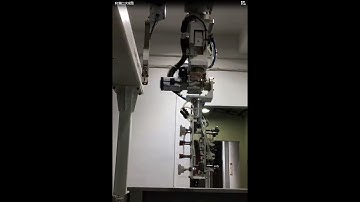 Alfa robot with B&C servo axis for overmolding twice injection. #injection molding