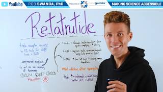Details How does Retatrutide Work Update
