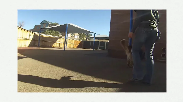 SlideshAudie A0726572ow Video Project 1080p