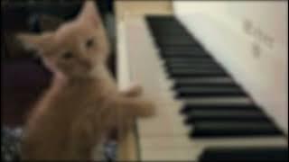 symphony | 𝒔𝒑𝒆𝒅 𝒖𝒑   𝒓𝒆𝒗𝒆𝒓𝒃 - clean bandit, zara larsson