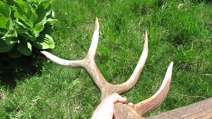 2017 Elk Browns Part 9 Brandon Pitcher (The clean up)