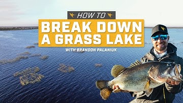 How to Break Down a Grass Lake [Aerial Imagery Tips for Bass Fishing]