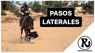 Como Dar Pierna A Tu Caballo o pasos laterales y Apoyos