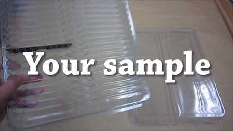 Dram memory module plastic tray clamshell box esd package conductive your sample(no logo).mpg