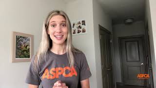 Virtual Meet and Greet Tips