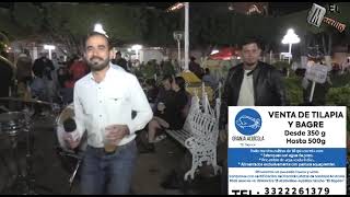 Fiestas en Ayotlan Jalisco en honor a la Virgen de la Soledad