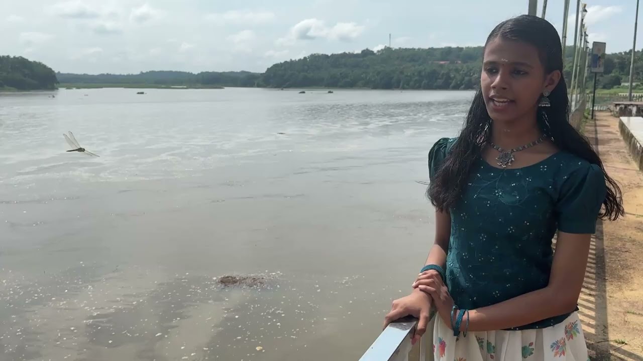 കവിത (കുറ്റിപ്പുറം പാലം)