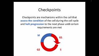 AH Biology 1.5c - Control of the Cell Cycle