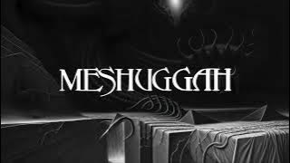 MESHUGGAH - They Move Below