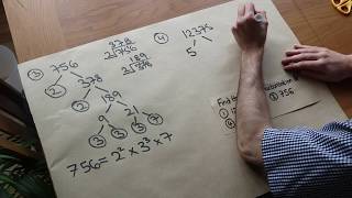 Prime Factorisation