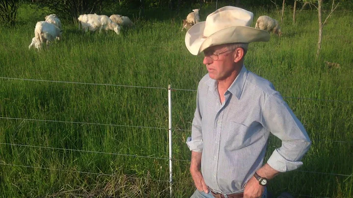 Greg Judy describing effective low cost sheep fence