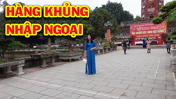 Hàng nhập ngoại Khủng có giá rõ ràng, triển lãm cây cảnh, tùng, sanh nam điền, sung, si, me, mộc