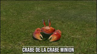 Ffxiv Crabe De La Crabe Minion Youtube