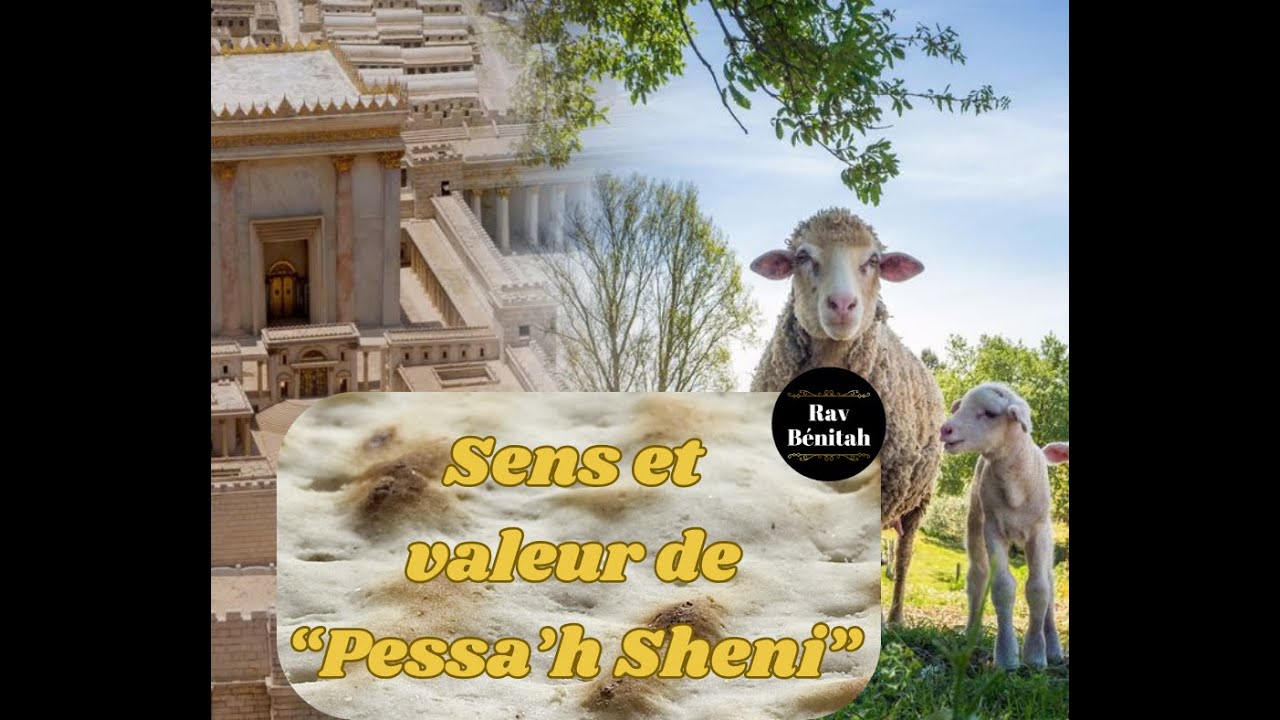 Sens et Valeur de "Pessa'h Sheni"
