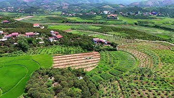 Thôn Hả - Tân Sơn - Lục Ngạn - Bắc Giang 2025