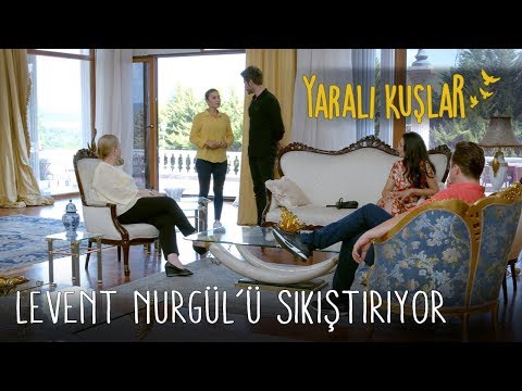 Levent Nurgül'ü Sıkıştırıyor | Yaralı Kuşlar 84. Bölüm (English and Spanish))