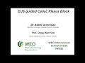 Eus guided celiac plexus block