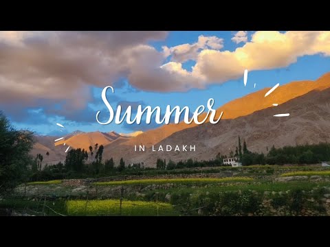 My beautiful Summer.