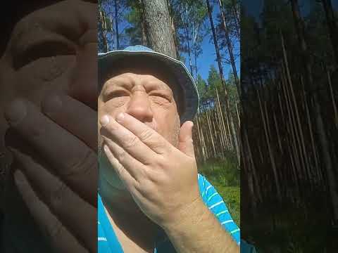 Пожрал брусники