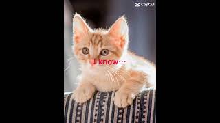 Copy 23444Fb5 D2E8 4151 81Bc 2992D427F7Db