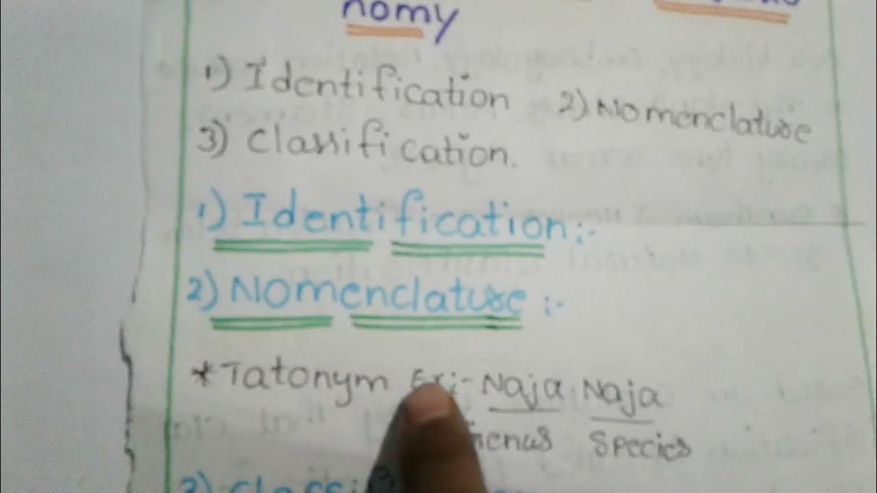 Taxonomy explanation in telugu YouTube