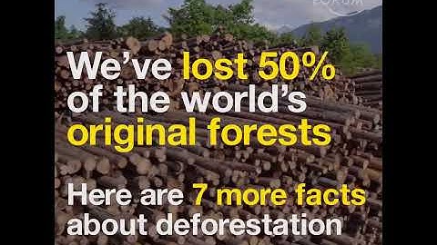 272 We’ve lost 50% of the world’s original forests  Here are 7 more facts about deforestation