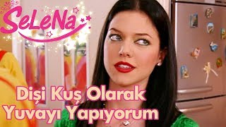 Dişi kuş olarak yuvayı yapıyorum