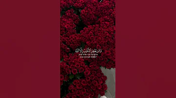 و الذين إذا فعلوا فاحشة أو ظلموا أنفسهم ذكروا الله فاستغفروا لذنوبهم القارئ أحمد النفيس 