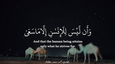 ساعة كاملة⏱️🎧 | تلاوة لمن أراد الهدوء والراحة النفسية للدراسة والتركيز 📚 | القارئ محمد مسعد ♥️