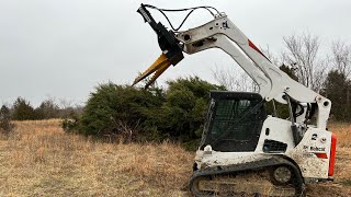 Intimidator pulling out cedar trees