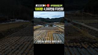 [4,000만원추가인하!]1080평 급해서 한번더 내려유~~ 강원도전원주택 복덕방영월군 영월군전원주택매매