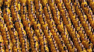 Are You The Only Conscious Being?