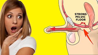Best Exercises to Strengthen Your PELVIC FLOOR MUSCLES - EXERCISE FOR MEN!