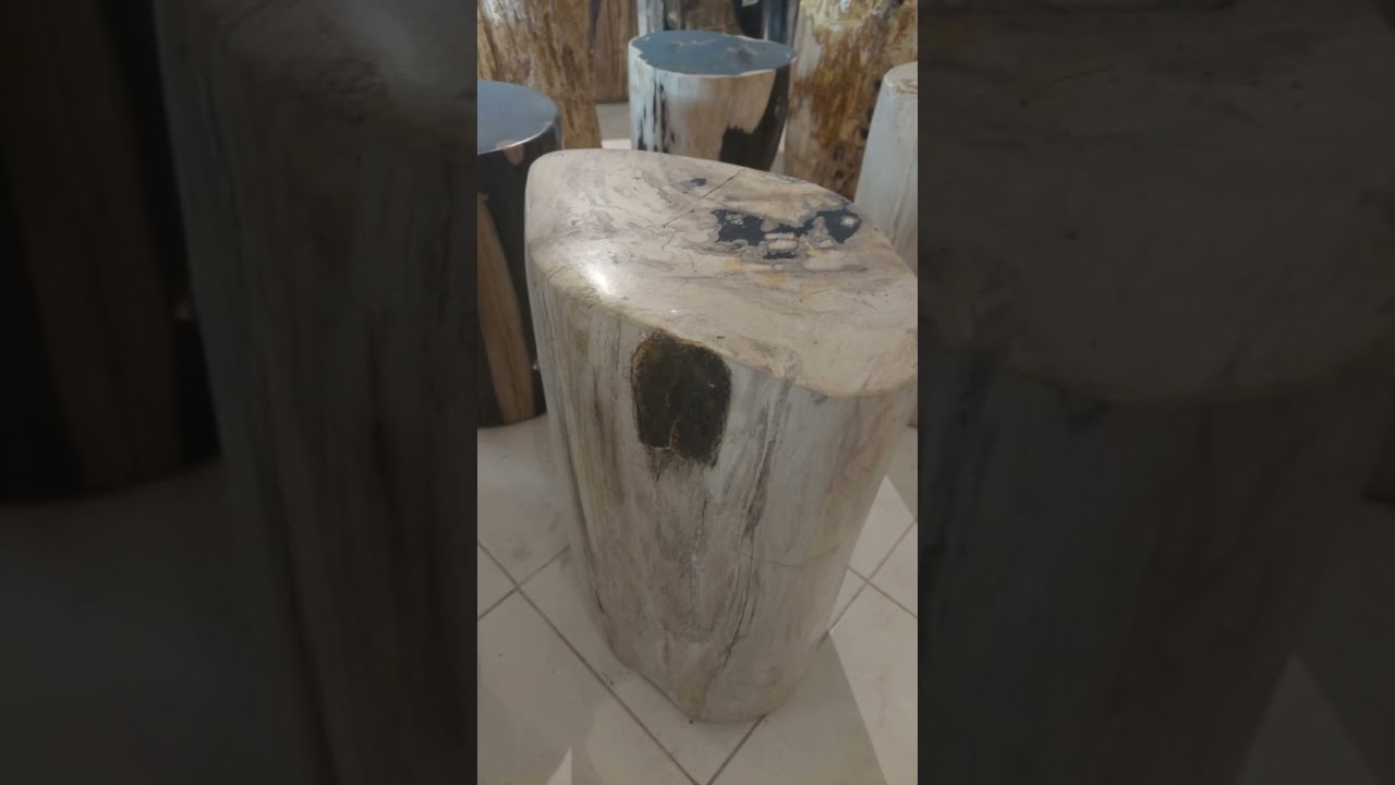 Earth’s Artistry Preserved: The Beauty of Petrified Wood Stump Tables 